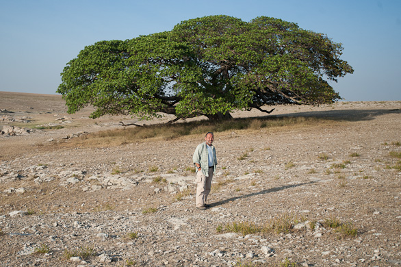 Serengeti Nationalpark, Tansania