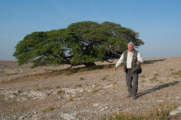 Serengeti Nationalpark, Tansania