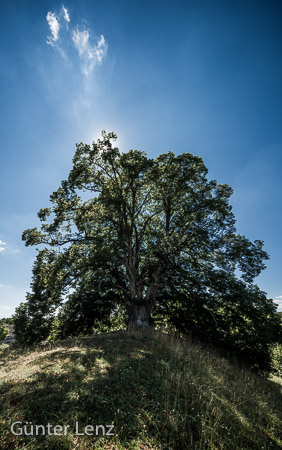 Starnberg