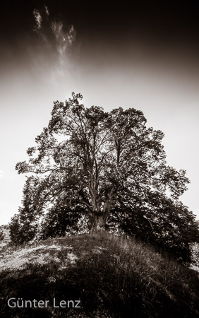 Starnberg