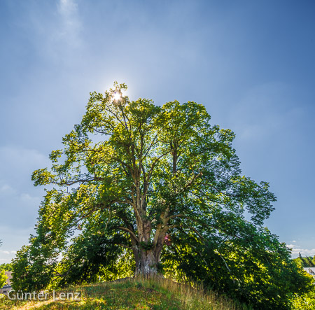 Starnberg