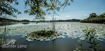 Starnberg