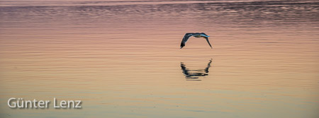 Starnberg