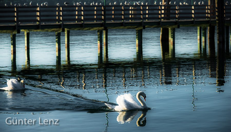 Starnberg